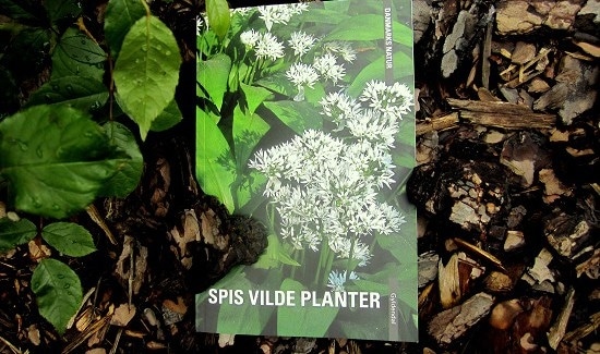 bogen Spis vilde planter - boganmeldelse