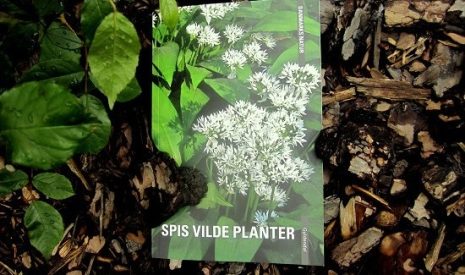 bogen Spis vilde planter - boganmeldelse